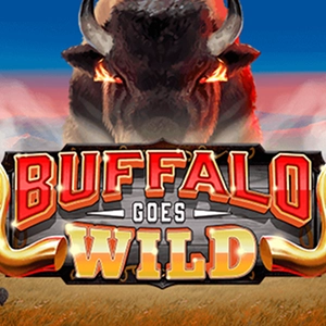 Alvynn Curacao Lizenz und faires Spiel